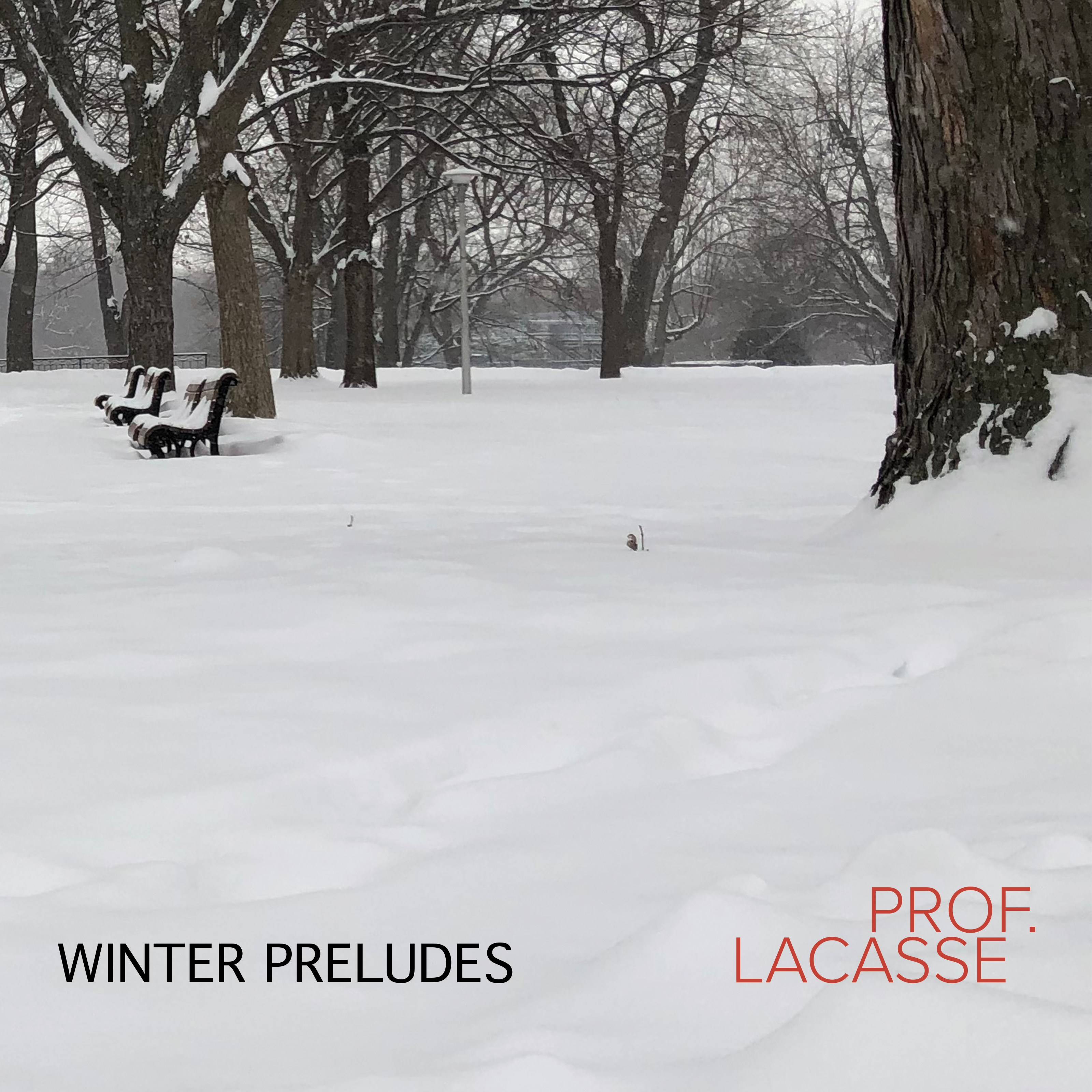 Winter Preludes